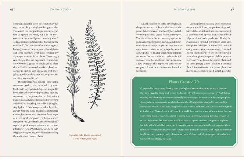 Botany for Herbalists