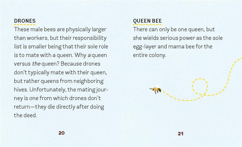 Build-Your-Own Beehive