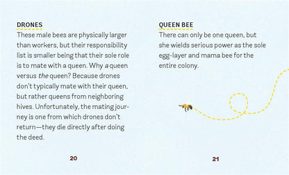 Build-Your-Own Beehive