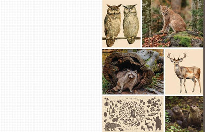 Cut &amp; Collage Woodland Creatures