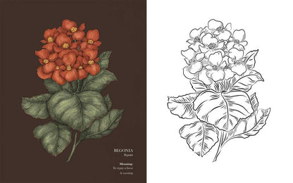 Floriography Coloring Book