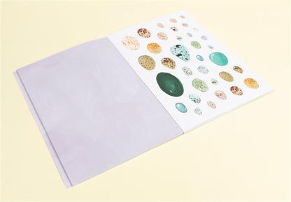 Bird Anatomy Sticker Book