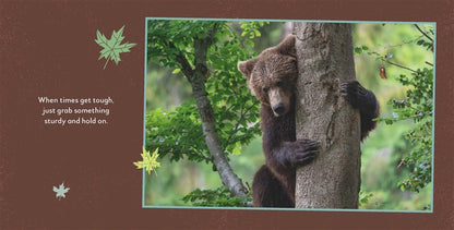 Fat Bear Self-Care