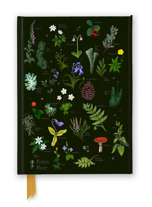 Anna Stead: The Forest Floor (Foiled Journal)