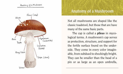 Mushrooms: A Wooden Magnet Set