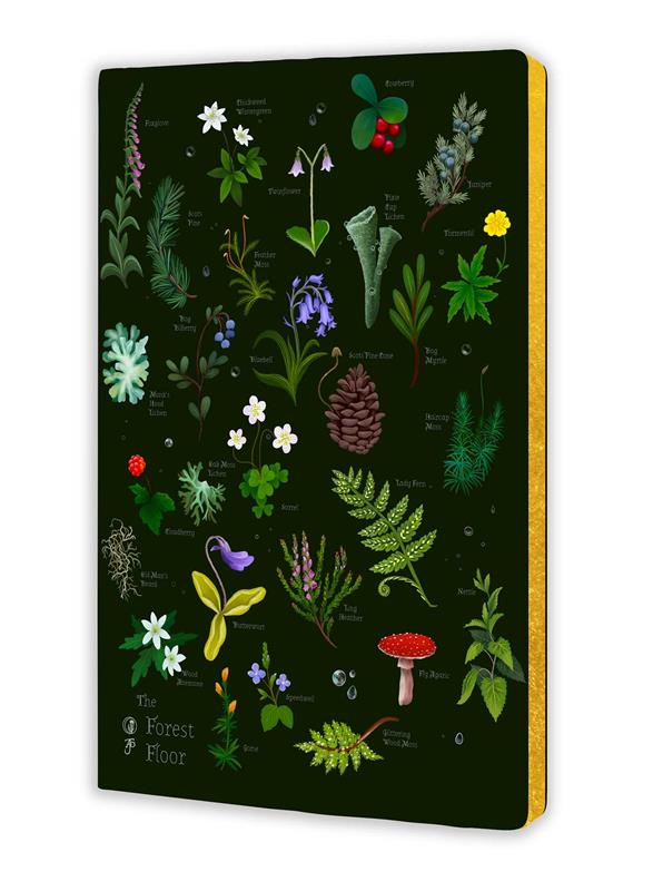 Anna Stead: The Forest Floor (Soft Touch Journal)