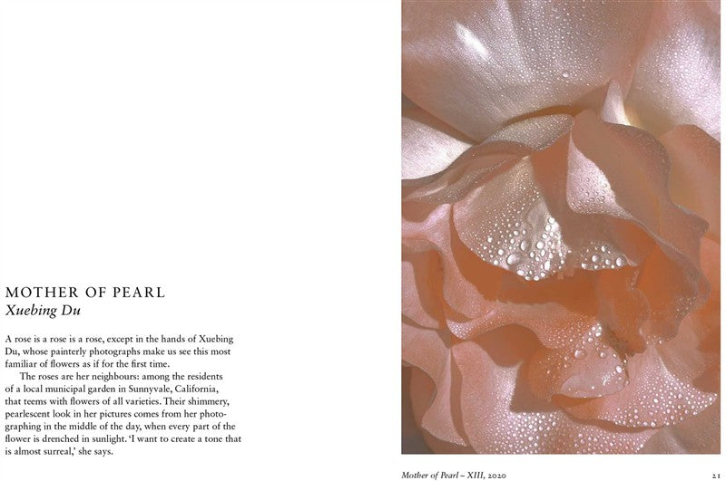 New Photography of the Flower.