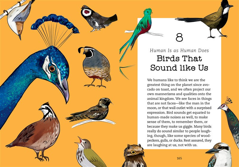 Bird Talk