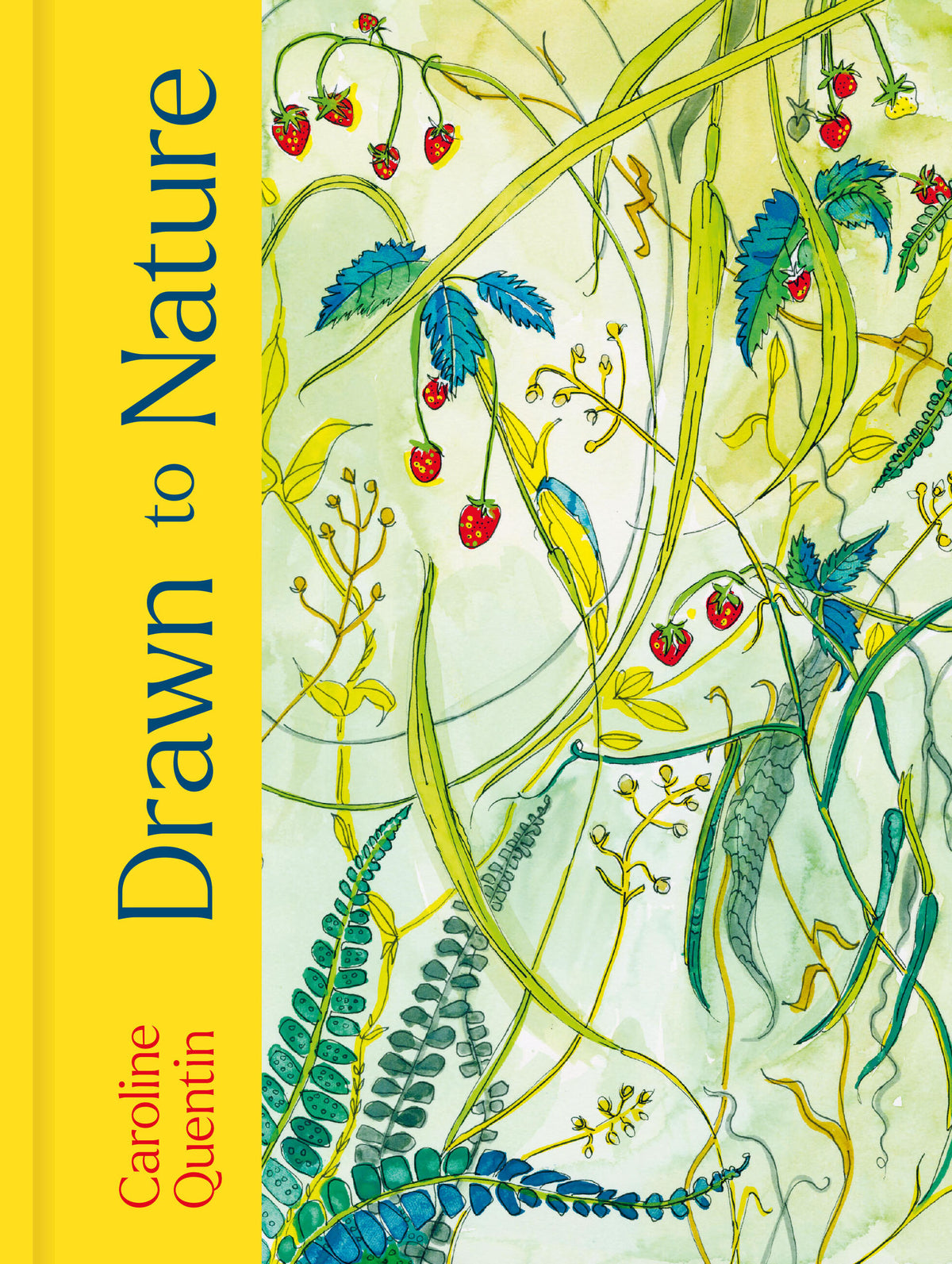 Drawn to Nature
