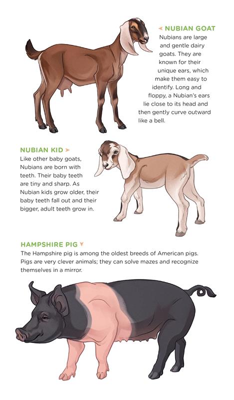 Busy Barnyard of Tattoo Farm Animals