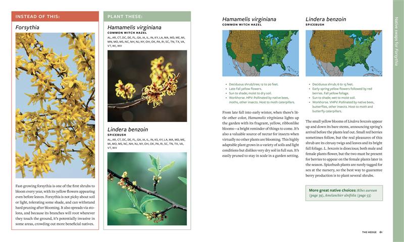 Plant This, Not That