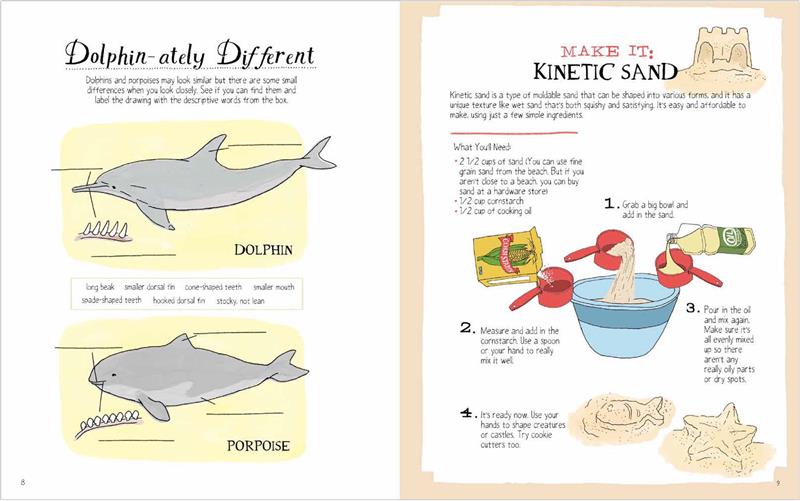 Julia Rothman's Ocean Anatomy Activity Book