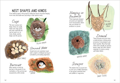 Bird Anatomy