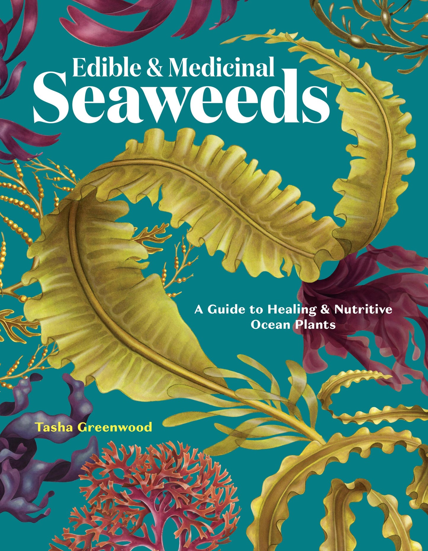 Edible &amp; Medicinal Seaweeds
