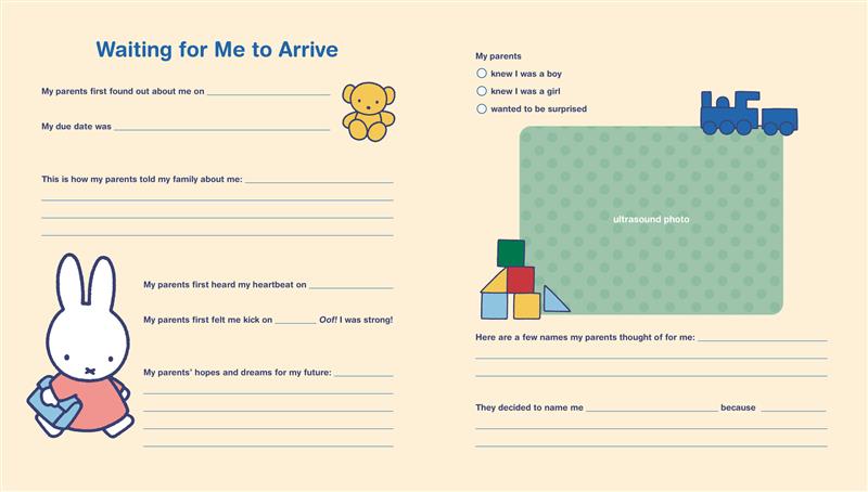 Miffy Baby Book