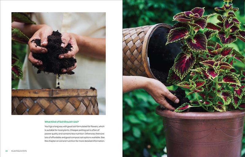 The Creative Container Garden