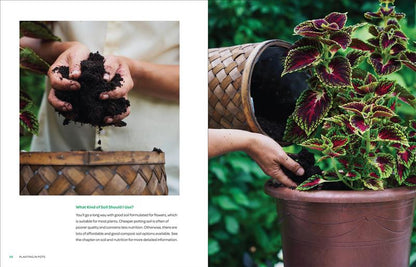 The Creative Container Garden