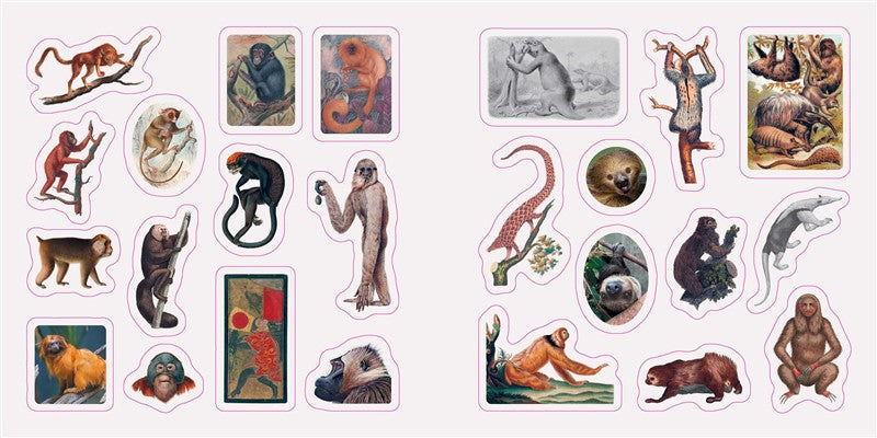 Fantastic Creatures: A Smithsonian Sticker Book