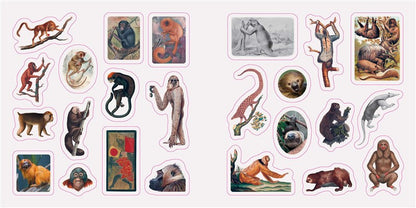 Fantastic Creatures: A Smithsonian Sticker Book