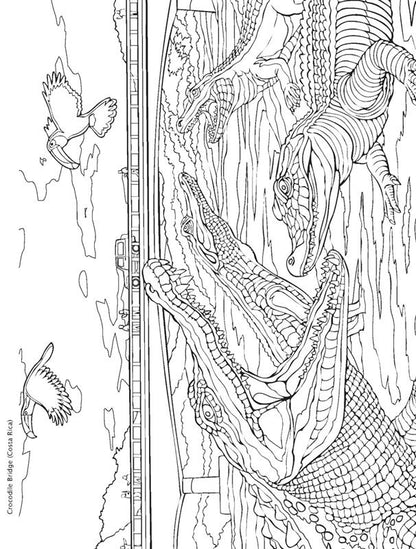 Creative Haven Bridges Coloring Book
