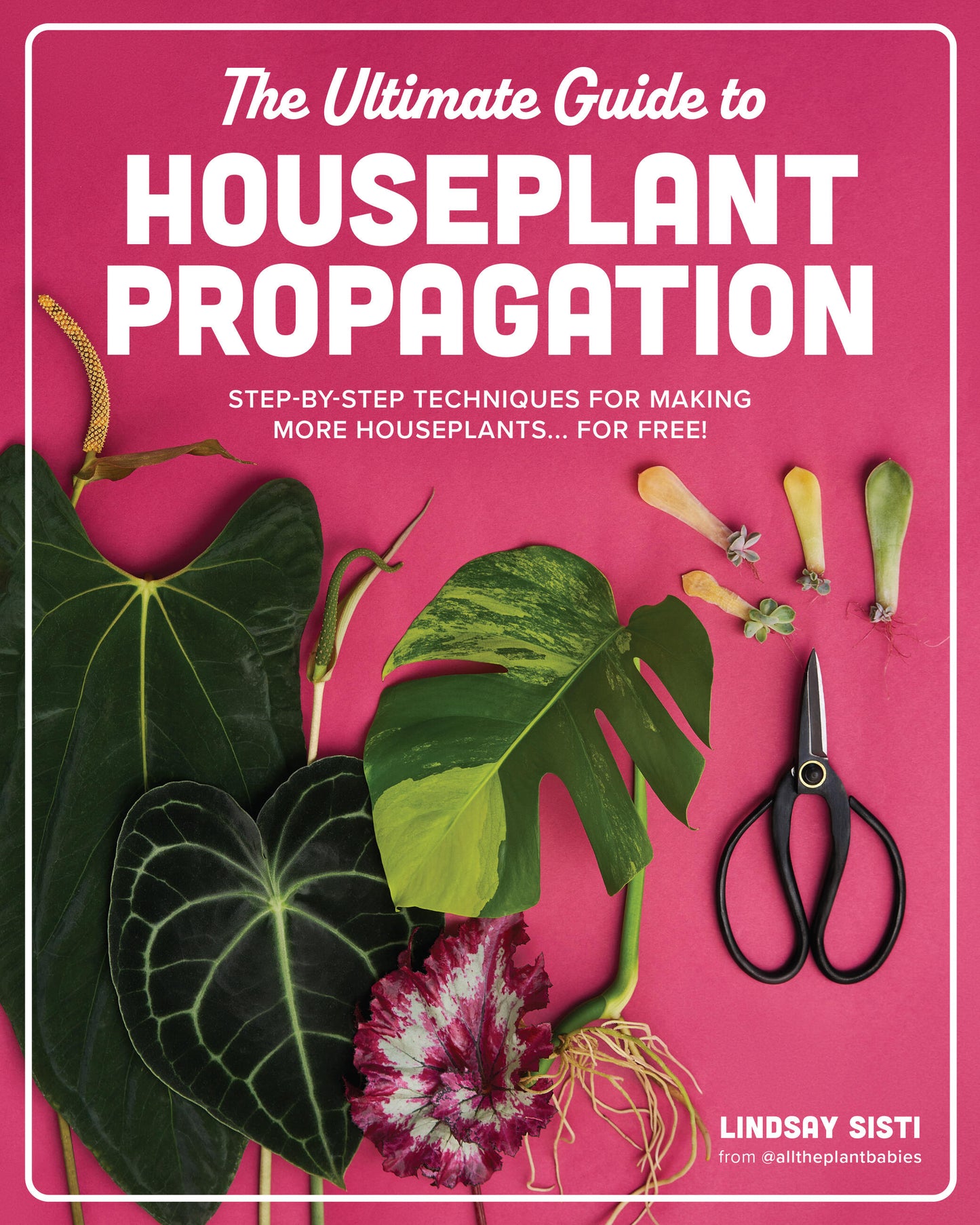 Le guide ultime de la propagation des plantes d'intérieur