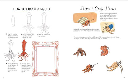 Julia Rothman's Ocean Anatomy Activity Book