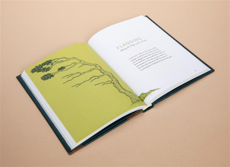A Forest Language