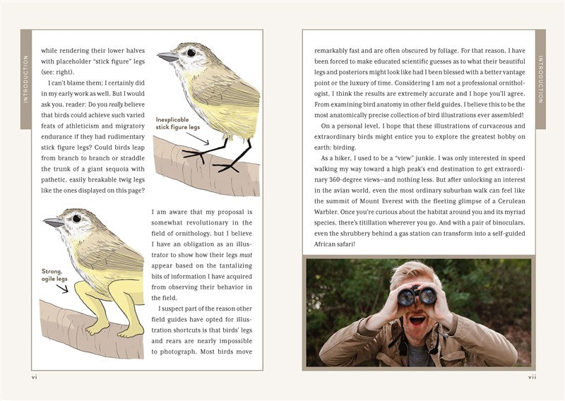 Extremely Accurate Birds