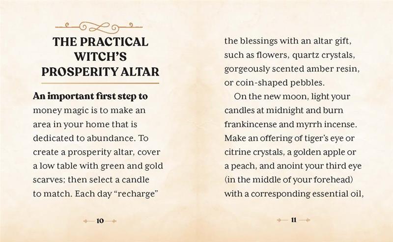 The Witches' Wealth Spell Book