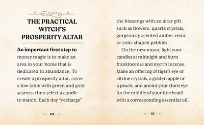 The Witches' Wealth Spell Book