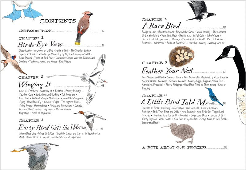 Bird Anatomy