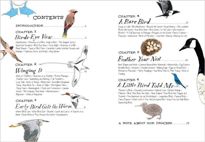 Bird Anatomy