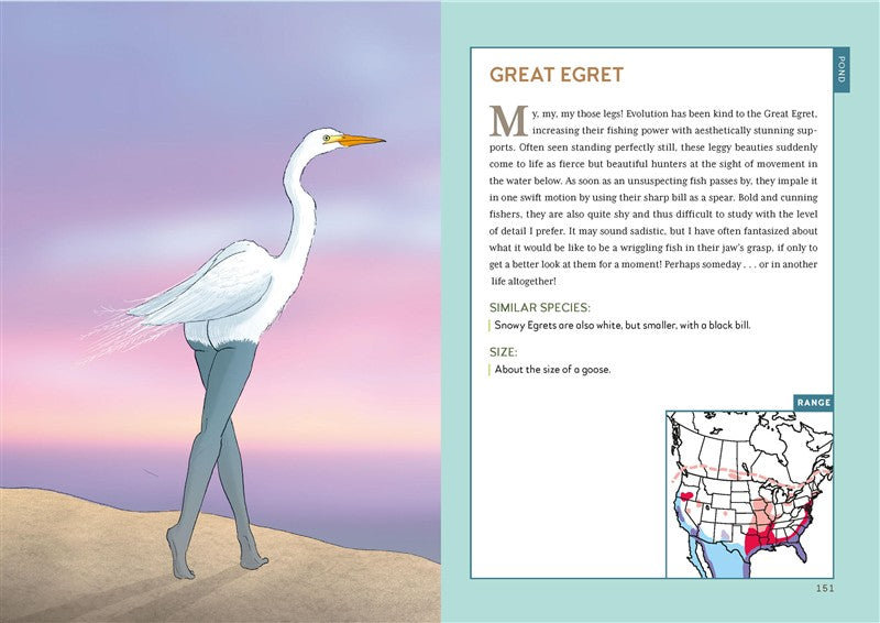 Extremely Accurate Birds
