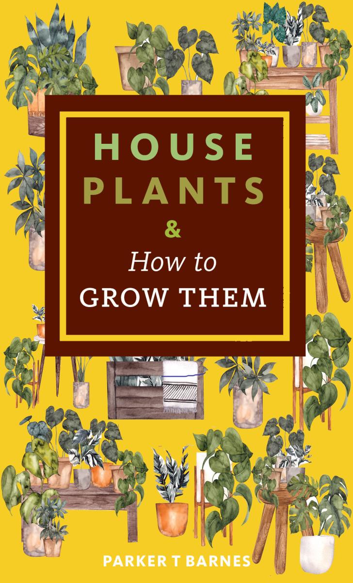 Houseplants & How to Grow Them