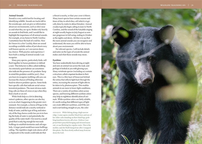Wildlife of the Southeast