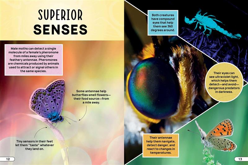 Smithsonian Explores: Bugs and Insects