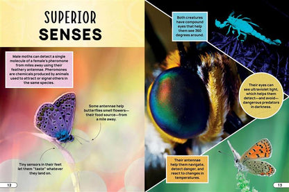 Smithsonian Explores: Bugs and Insects