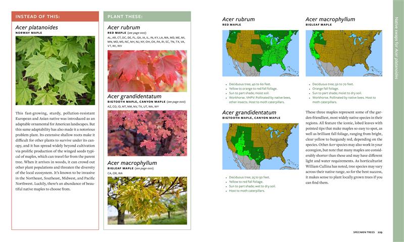 Plant This, Not That