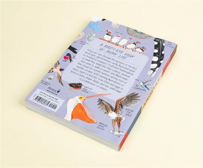 Bird Anatomy