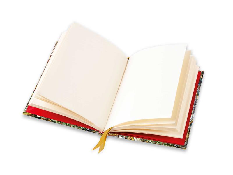 Antique Map (Foiled Blank Journal)