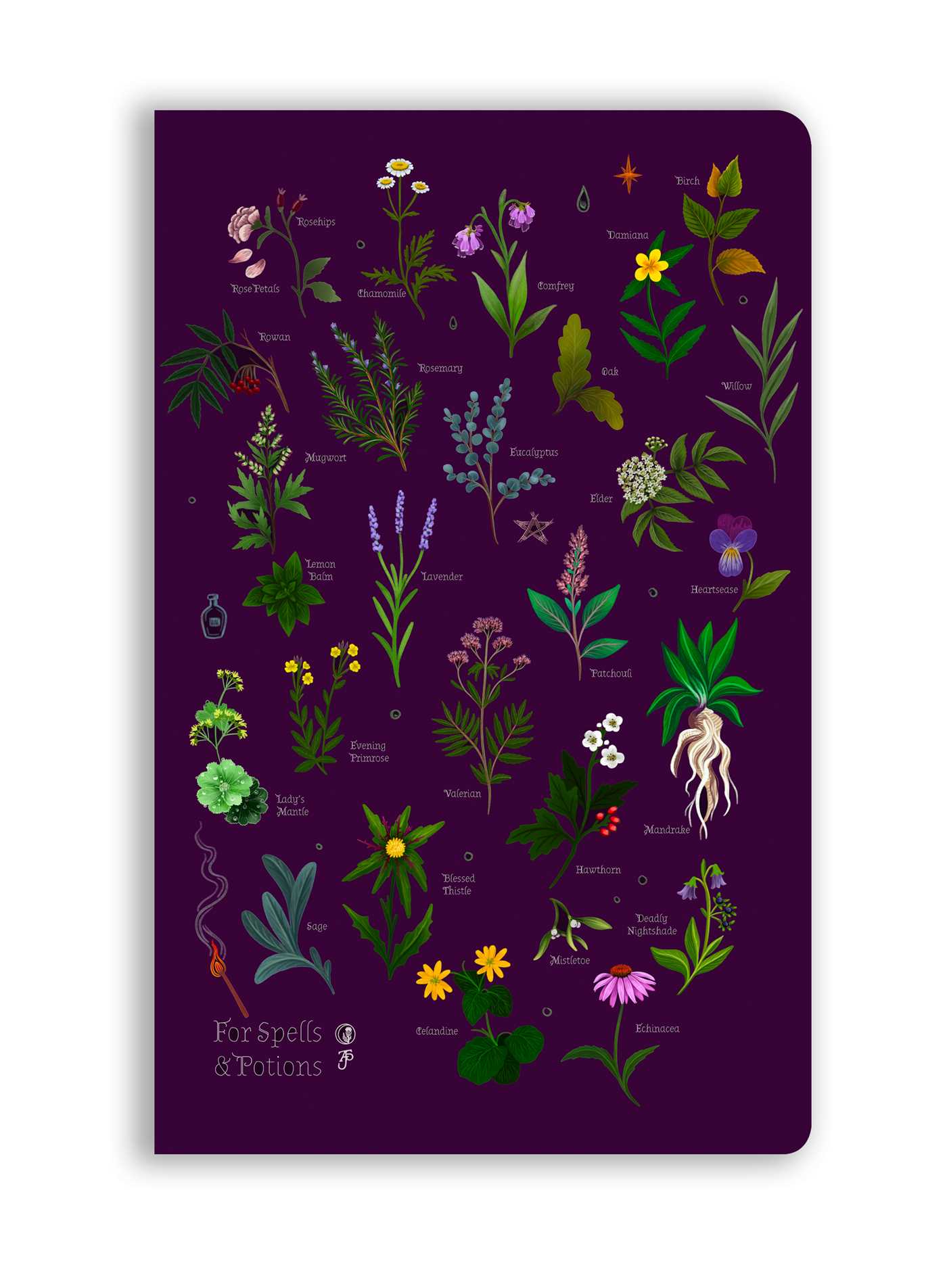 Anna Stead: For Spells &amp; Potions (Soft Touch Journal)