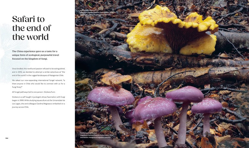 Planet Fungi