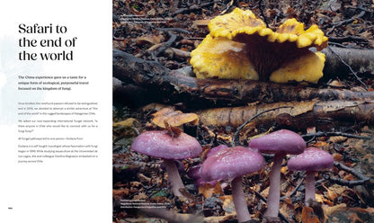 Planet Fungi