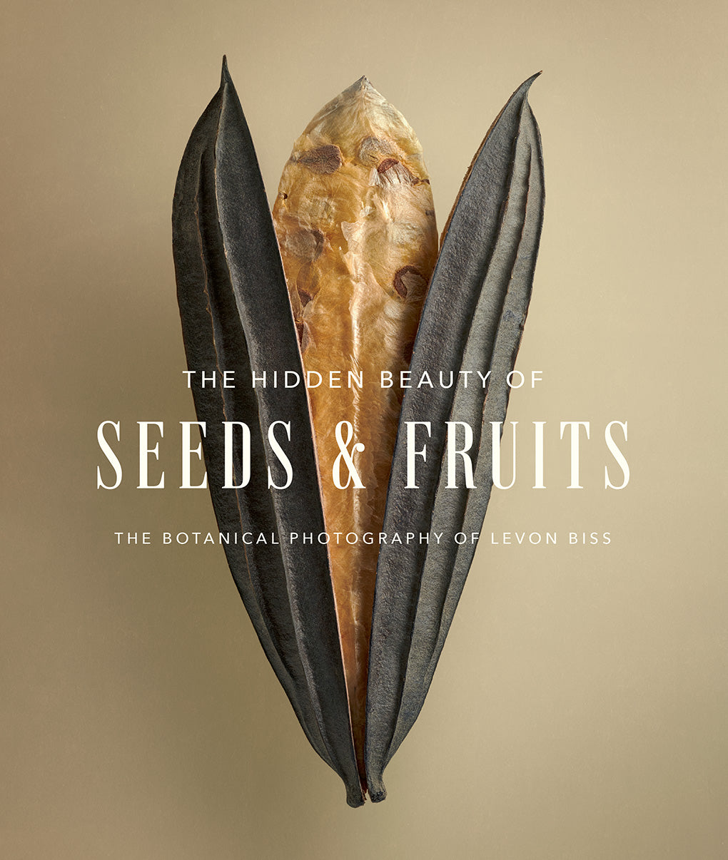 The Hidden Beauty of Seeds &amp; Fruits