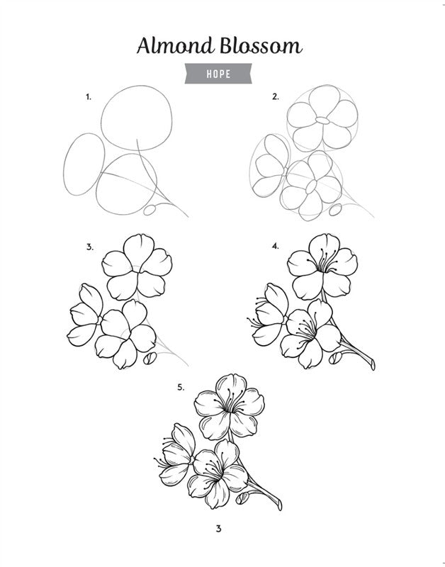 How to Draw the Language of Flowers