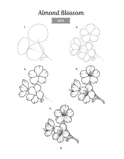 How to Draw the Language of Flowers