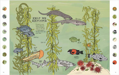 Julia Rothman's Ocean Anatomy Activity Book