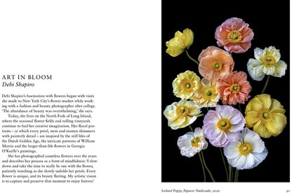 New Photography of the Flower.
