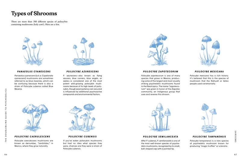 The DoubleBlind Guide to Psychedelics