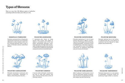 The DoubleBlind Guide to Psychedelics